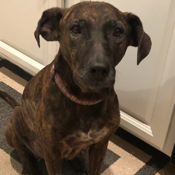 Meet your Posher, Jamie - Picture 9 of 9